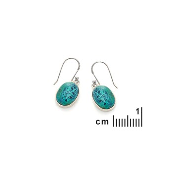 Boucle d'oreille shattuckite