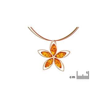 Collier ambre naturel, Argent 925