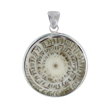Pendentif Argent 925 Disque et Coquillage Naturel