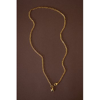collier étoile doré à l'or fin - RAOUL