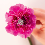 Ovale opengewerkte diamanten ring in 375 witgoud - bekijk D3