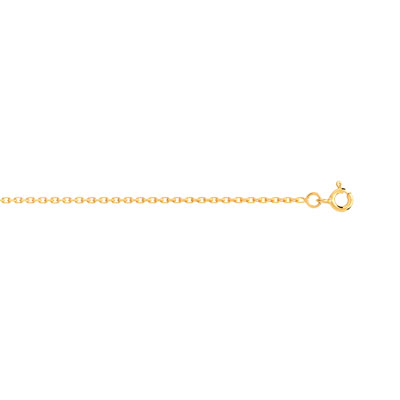 Chaine or maille forcat 50 cm - vue 1