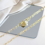 Geel stalen armband 21,5 cm - zicht D3