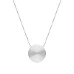 Collier acier disque 50 cm - vue 1