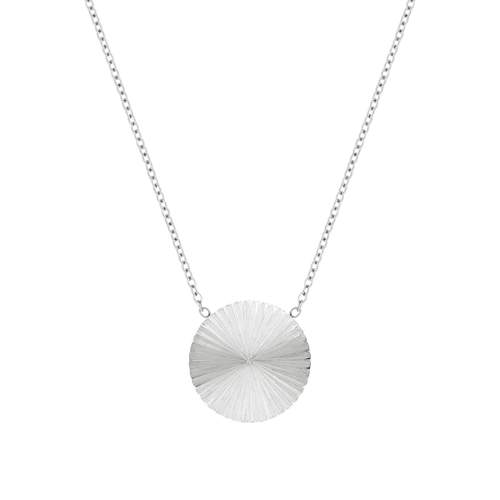 Collier acier disque 50 cm