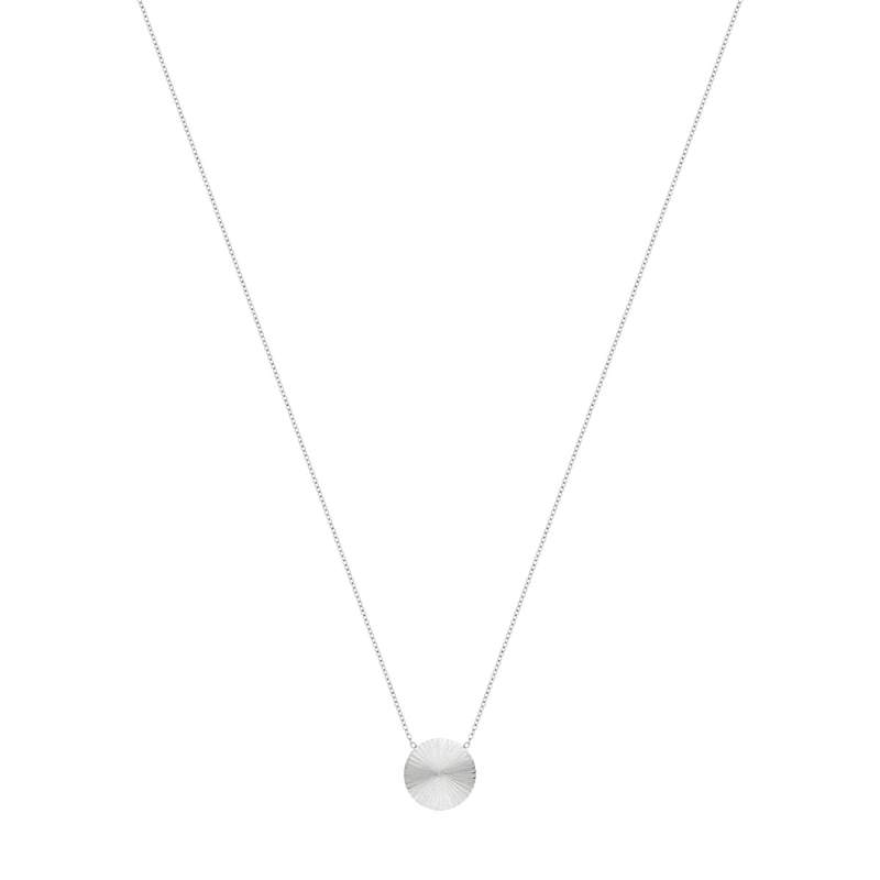 Collier acier disque 50 cm - vue 2