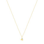 Collier or 375 2 tons diamants 45 cm - vue 2