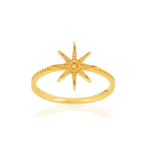 Vergulde ring met stermotief