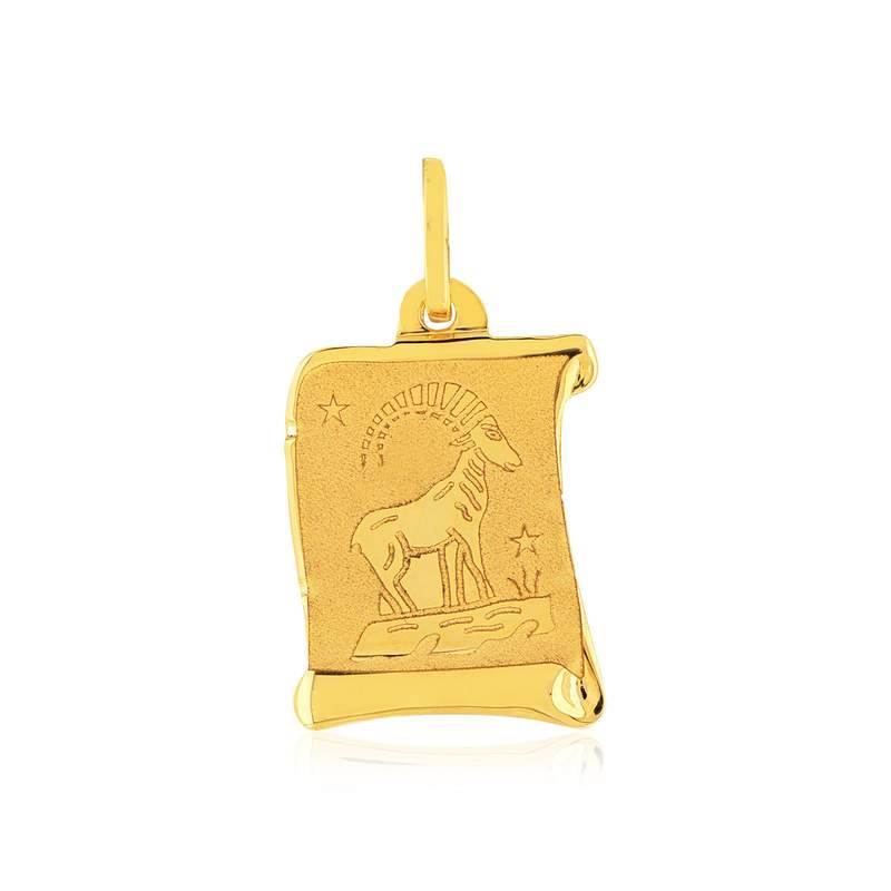 Pendentif or jaune 375, zodiaque capricorne - vue 1