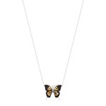 Collier argent 925 papillon ambre 42 cm - vue 1