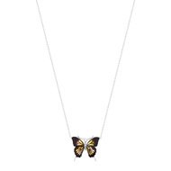Collier argent 925 ambre