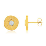 Boucles d'oreilles acier doré nacres - vue 1