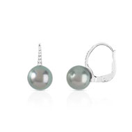 boucles d'oreilles or 750 blanc perle de culture de tahiti et diamant