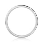 Alliance palladium 950 - vue 2
