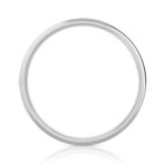 Alliance palladium 950 - vue 2
