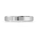 Alliance palladium 950 - vue 3