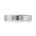 Alliance palladium 950 - vue 3