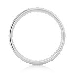 Alliance palladium 950 - vue 2