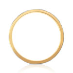 Alliance 2 ors 750 4 mm - vue 2