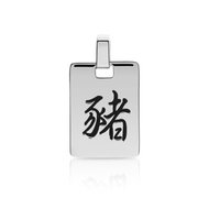 Pendentif zodiaque argent 925