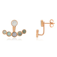 Boucles d oreilles acier doré rose et nacre