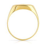 Chevalière goud 375 2 ton 2 initialen diamant - zicht 2