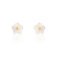Boucles d'oreilles or 375 jaune nacre