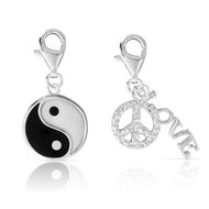 Lot 2 charm's argent 925 émail