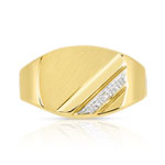 Chevalière goud 375 2 ton ovale diamant - bekijk 3