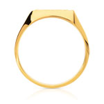 Vierkante vergulde zegelring met diamanten wapenschild - zicht 2