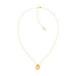 Collier CALVIN KLEIN acier doré - vue 2