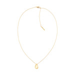 Collier CALVIN KLEIN acier doré - vue 1