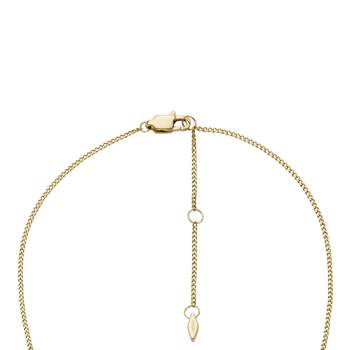 FOSSIL halsketting roestvrij staal goud rond fotohouder hanger 40cm