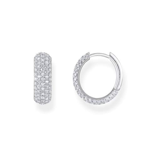 Gray silver earrings