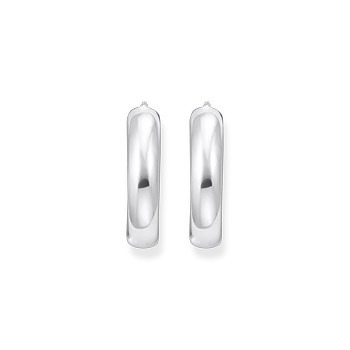 Grijze zilveren oorbellen