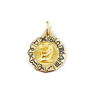Médaille d'occasion signe zodiaque or 750 jaune