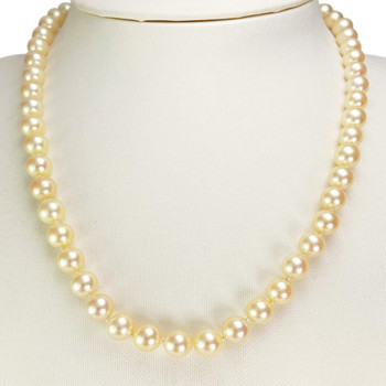Collier d'occasion or 585 blanc maille perles, perles de culture du Japon