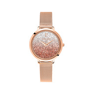 Montre Pierre Lannier femme acier rose cristaux