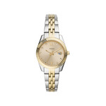 Montre FOSSIL Scarlette Mini femme acier - vue 1