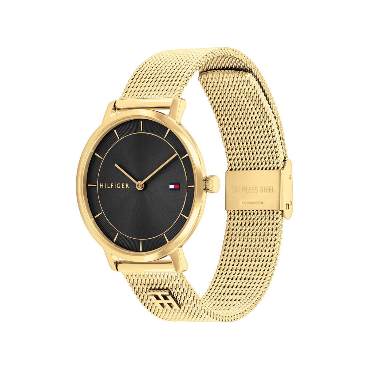 Montre TOMMY HILFIGER tea femme analogique, - vue 2