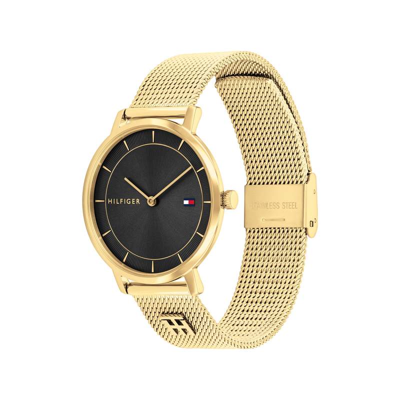 Montre TOMMY HILFIGER tea femme analogique, - vue 2