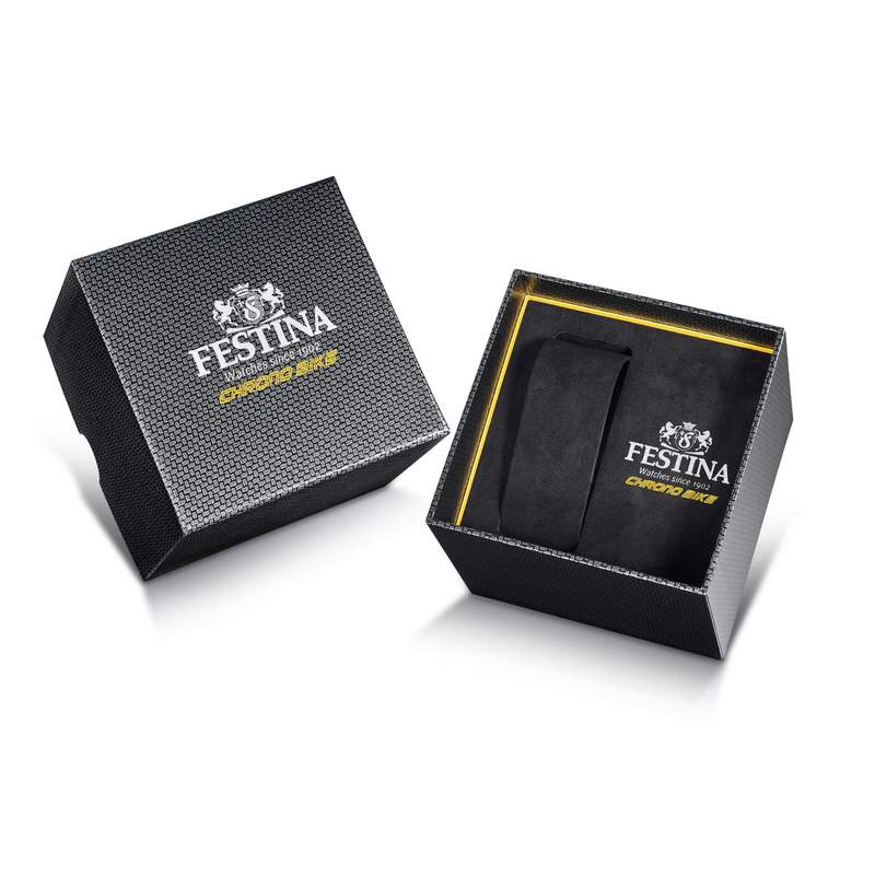 Montre FESTINA homme bracelet acier inoxydable - vue D2