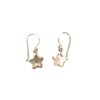 Boucles d'oreilles fleurs en argent - vue V1