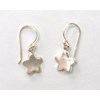 Boucles d'oreilles fleurs en argent - vue V2