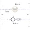 Bracelet Chaîne Perle d'Eau Douce Ronde 7-8 mm Blanche Argent 925 - vue V3