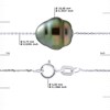 Collier Perle de Tahiti Cerclée 10-11 Chaîne Forçat Argent 925 - vue V3