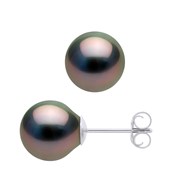 Boucles d'Oreilles Perle de Tahiti Ovales 8-9 mm Argent 925