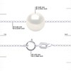 Collier Perle de Culture d'Eau Douce Ronde et Blanche 9-10 mm Chaîne Vénitienne Or Blanc - vue V3