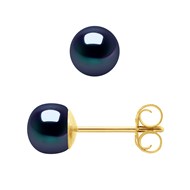 Clous d'Oreilles Perles de Culture 5-6 mm Noires Or Jaune