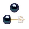 Clous d'Oreilles Perles de Culture 6-7 mm Noires Imperdables Or Blanc - vue V1